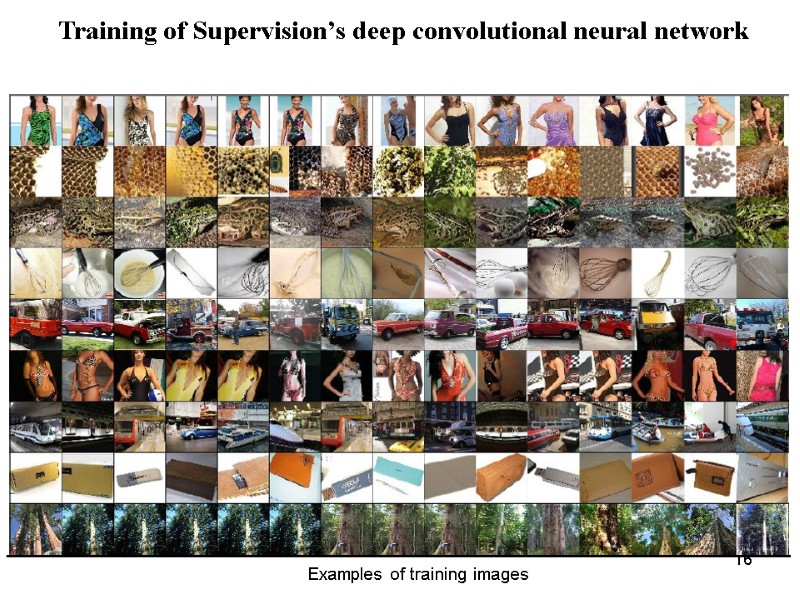 16 Training of Supervision’s deep convolutional neural network Examples of training images